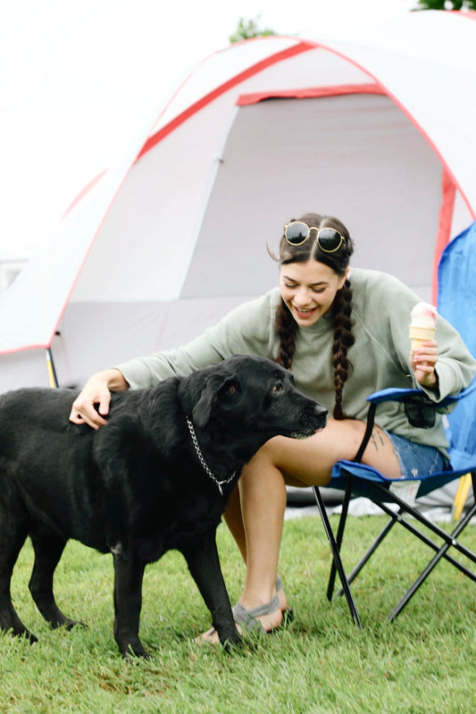 Do Campgrounds Allow Pets? What You Need to Know Before Bringing Your Dog