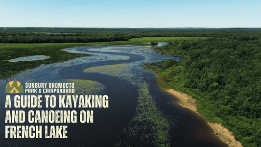 Blog 6: A Guide to Kayaking and Canoeing on French Lake
