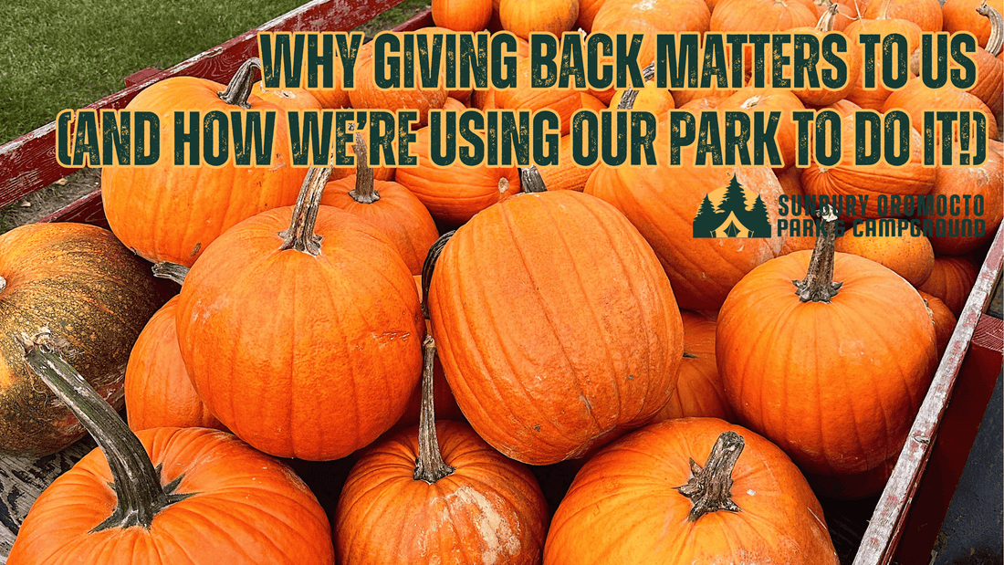 Blog 7: Why Giving Back Matters to Us (And How We’re Using Our Park to Do It!)