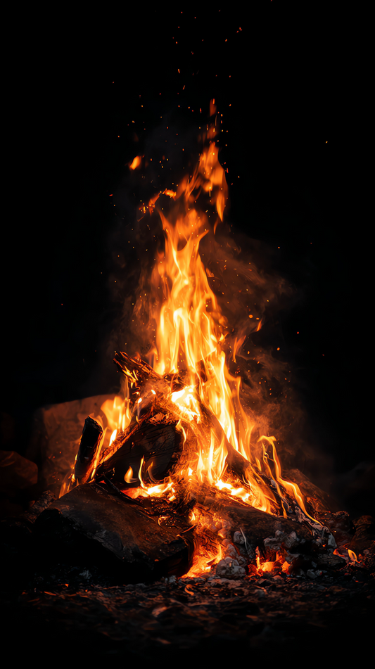 Community Beach Bonfire